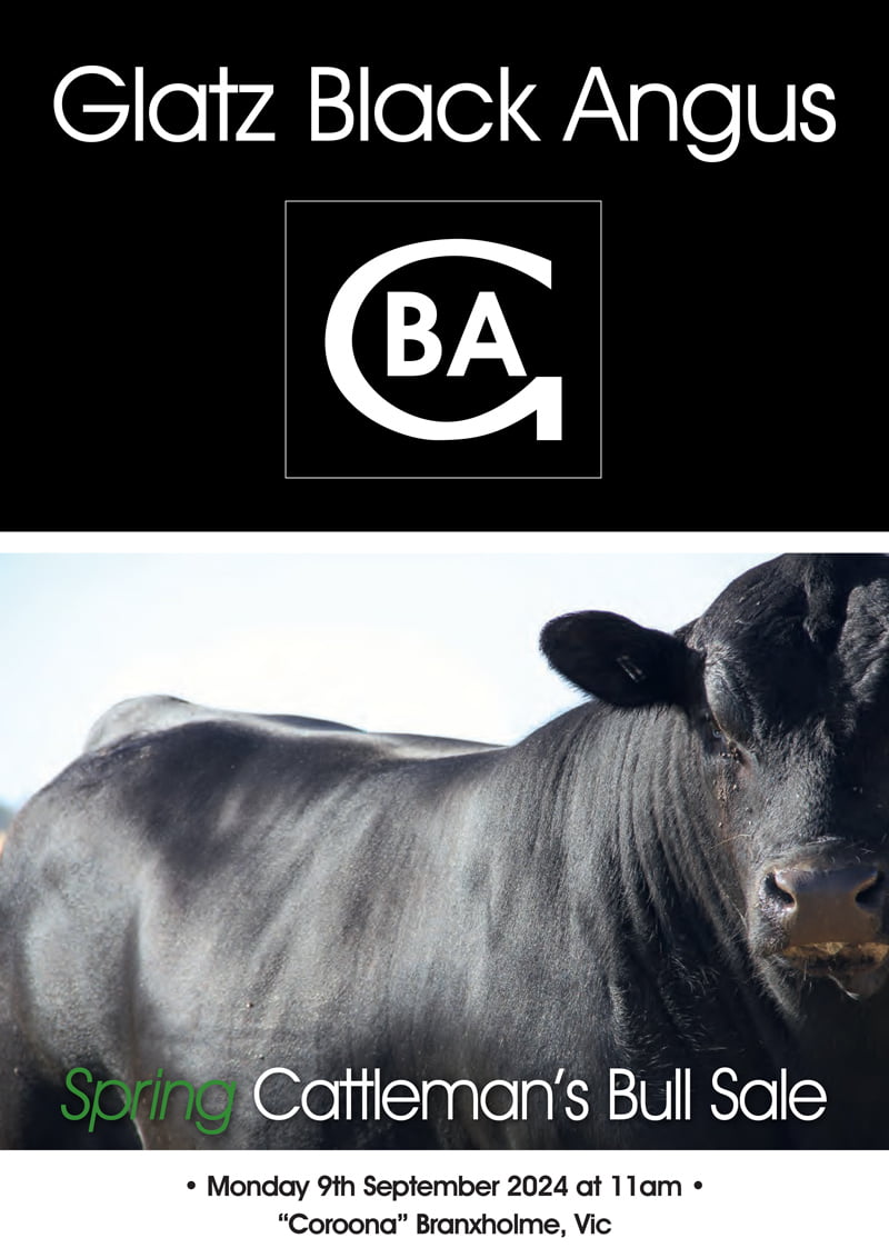 Glatz-Black-Angus-Sale-Catalogue-pdf-1